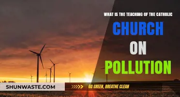 Catholicism and Pollution: A Moral Duty