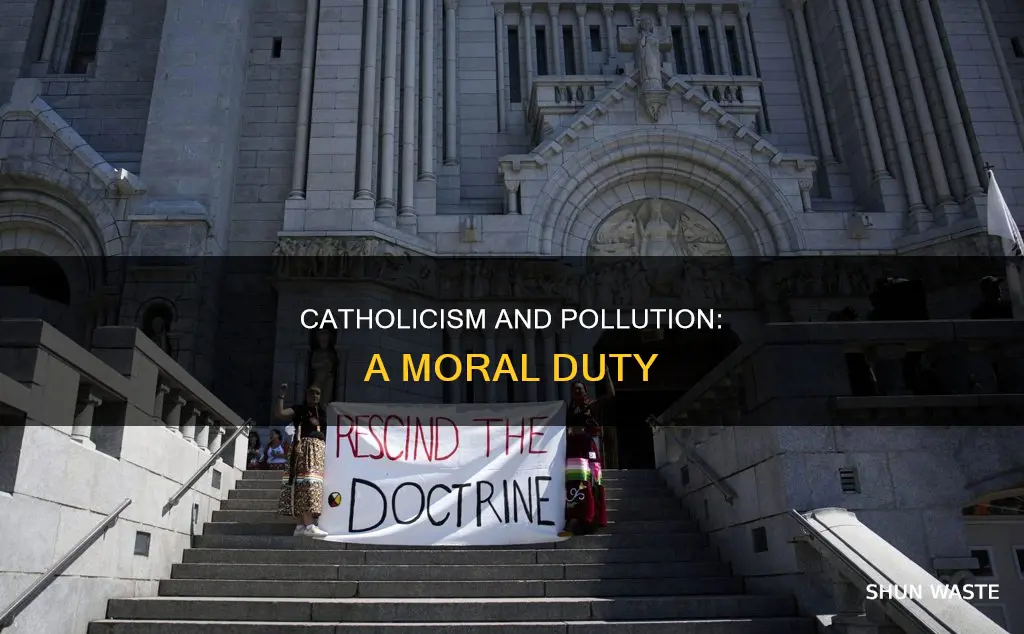 what is the teaching of the catholic church on pollution