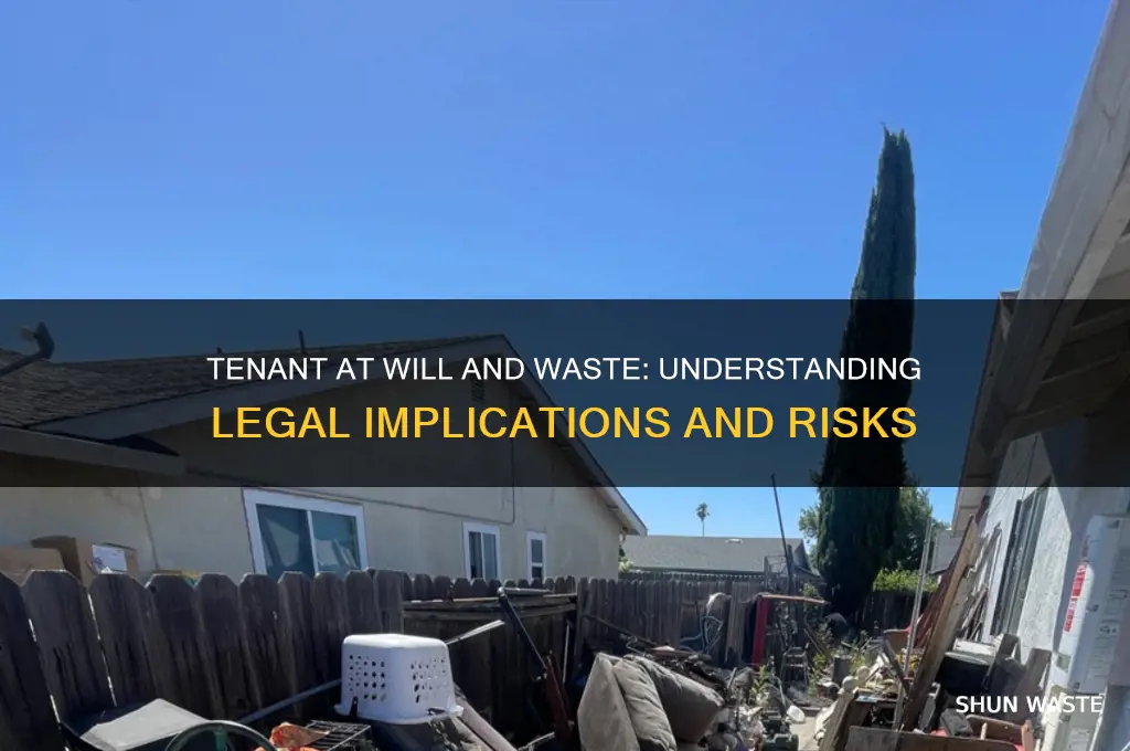 what is the tenant at will commits waste