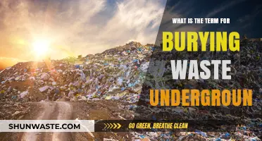 Burying Waste Underground: Understanding the Practice of Landfilling