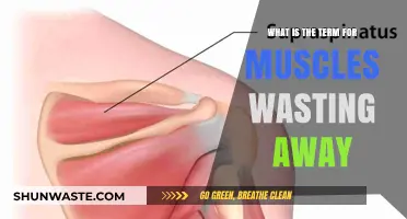 Understanding Muscle Atrophy: The Term for Muscles Wasting Away