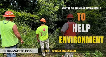 Eco-Compensation: Rewarding Environmental Stewards for Sustainable Impact