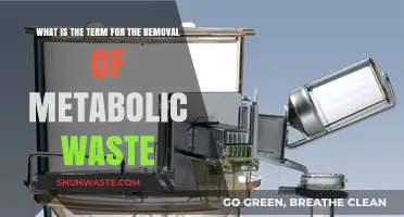 Understanding the Process of Metabolic Waste Removal in the Body