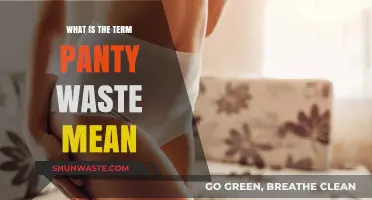 Understanding the Derogatory Slang Term 'Panty Waste': Origins and Meaning