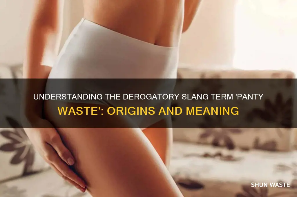 what is the term panty waste mean