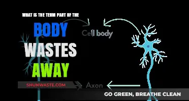 Understanding Atrophy: When Body Parts Waste Away Over Time