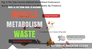 Understanding Muscle Metabolism Waste: The Science Behind Lactic Acid Buildup