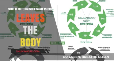 Understanding the Process: How Waste Matter Exits the Body