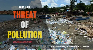 Pollution's Threat: A Global Crisis Unveiled