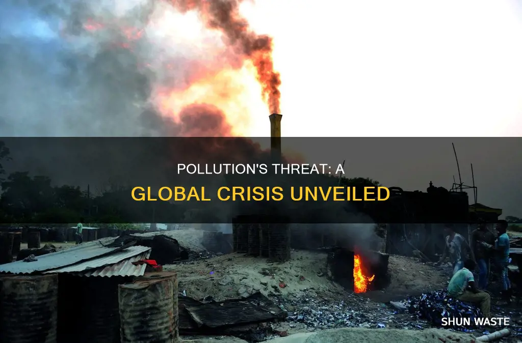 what is the threat of pollution