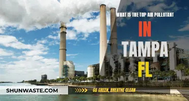 Tampa's Air Quality: What's the Main Pollutant?