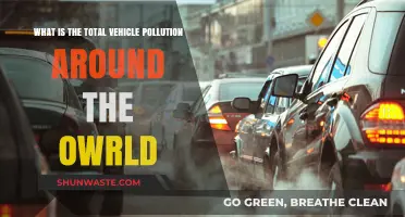 Vehicle Pollution: Global Impact and Insights