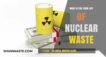 The Hidden Dangers: Understanding Nuclear Waste's Toxic Legacy