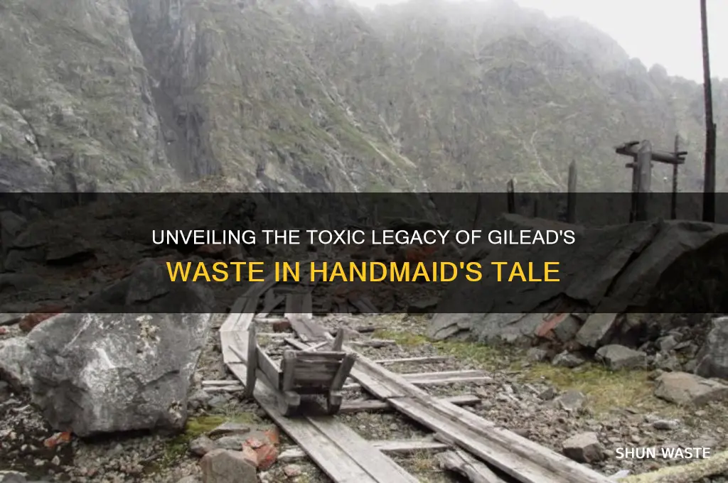 what is the toxic waste in handmaid