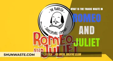 Romeo and Juliet's Tragic Waste: Love, Life, and Lost Potential