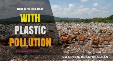 Plastic Pollution: The True Environmental Crisis