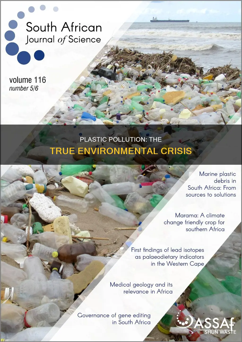 what is the true issue with plastic pollution