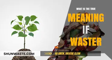 Unveiling the True Meaning of Waste: Beyond Trash and Recycling