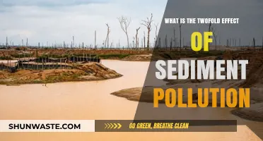Sediment Pollution's Devastating Impact on Nature