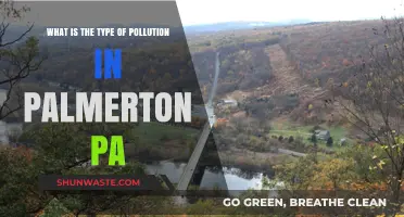Palmerton PA's Pollution: A Historical Legacy