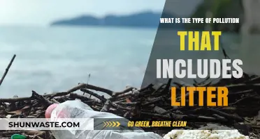 The Impact of Land Pollution: Understanding Litter's Role