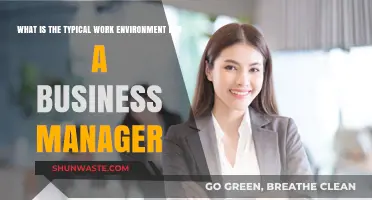 Exploring the Dynamic Work Environment of a Business Manager
