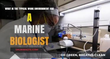 Exploring the Marine Biologist's Workplace: Labs, Oceans, and Field Research