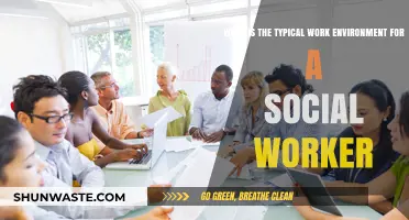 Exploring the Diverse Work Environments of Social Workers