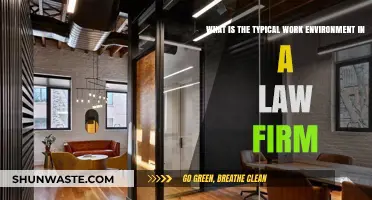 Exploring the Typical Work Environment in a Law Firm