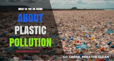 UK's Action Plan Against Plastic Pollution