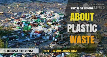 UK's Plastic Waste Crisis: Initiatives, Policies, and Sustainable Solutions