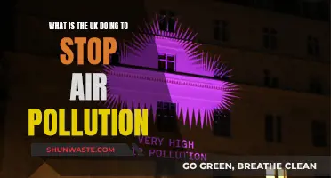 UK's Fight Against Air Pollution: Strategies and Initiatives
