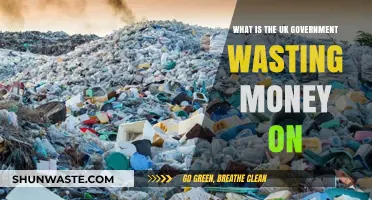 UK Government Spending: Uncovering Wasteful Projects and Misallocated Funds
