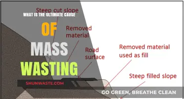 Unraveling the Root Cause of Mass Wasting: A Comprehensive Analysis