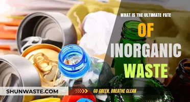The Ultimate Fate of Inorganic Waste: Recycling, Landfills, or Beyond?