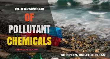 The Ocean: Pollutant Chemicals' Final Resting Place