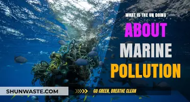 UN's Action Plan to Combat Marine Pollution