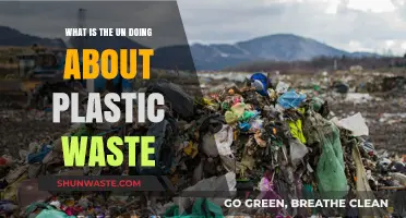 UN's Global Efforts to Tackle Plastic Waste Crisis