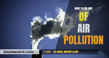Air Pollution Metrics: Understanding the Units