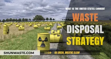 Exploring the United States' Current Waste Disposal Strategy