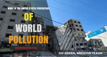US Global Pollution Contribution: What's the Real Damage?