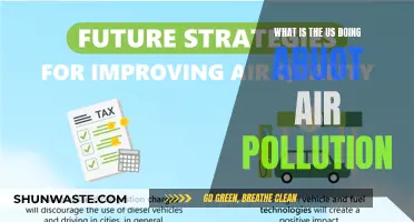 US Air Pollution: Strategies and Solutions