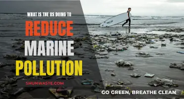 US Initiatives to Combat Marine Pollution