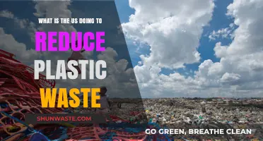 US Initiatives to Combat Plastic Waste: Policies and Progress
