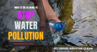 US Water Pollution: Strategies and Initiatives for Clean Water