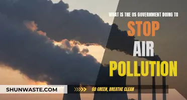 US Government's Fight Against Air Pollution