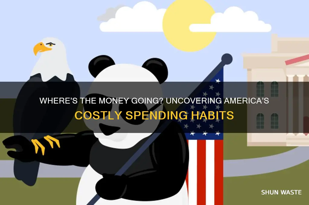 what is the us wasting money on