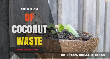 Creative Uses for Coconut Waste: Sustainable Solutions for a Greener Future
