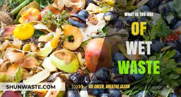 Transforming Wet Waste: Sustainable Uses and Environmental Benefits Explained