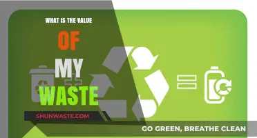 Unlocking Hidden Value: How Your Waste Can Turn into Worth
